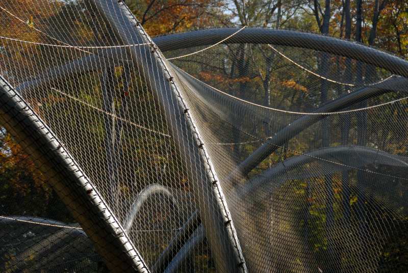 Wybieg dla dużych kotów w krakowskim Ogrodzie Zoologicznym